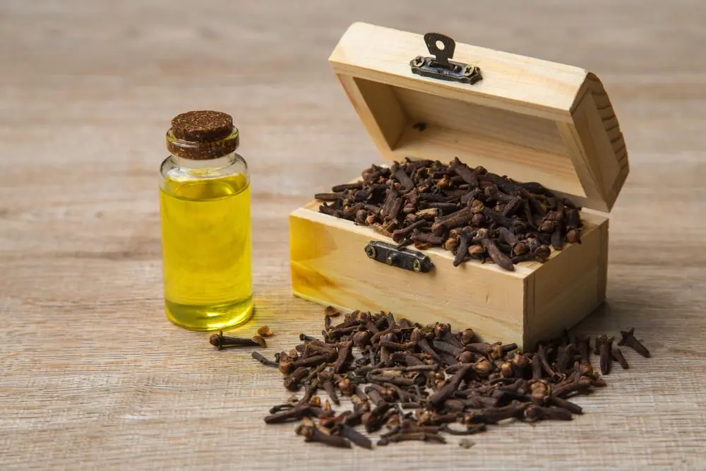 Mixing Cloves with Vaseline: The Simple Beauty Trick People Are Talking About