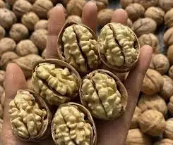 Doctors reveal that eating walnuts causes.....