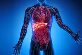 Your Body Could Be Warning You About Liver Damage — Here’s What to Look For