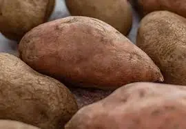 Doctors Warn About Possible Side Effects of Eating Too Many Sweet Potatoes