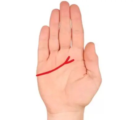Palmistry Explained: What the Lines on Your Hands Are Believed to Reveal