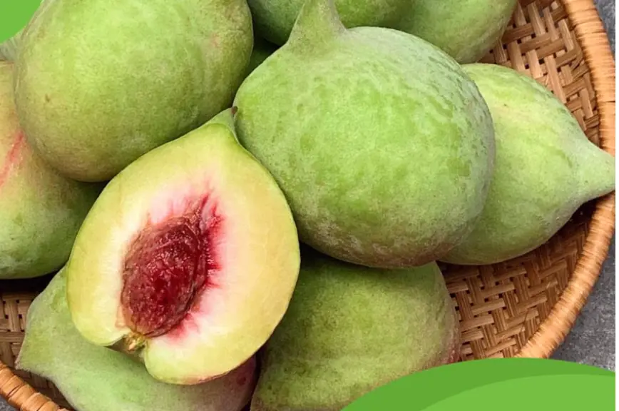 What Does the White Substance on a Peach Pit Actually Mean?