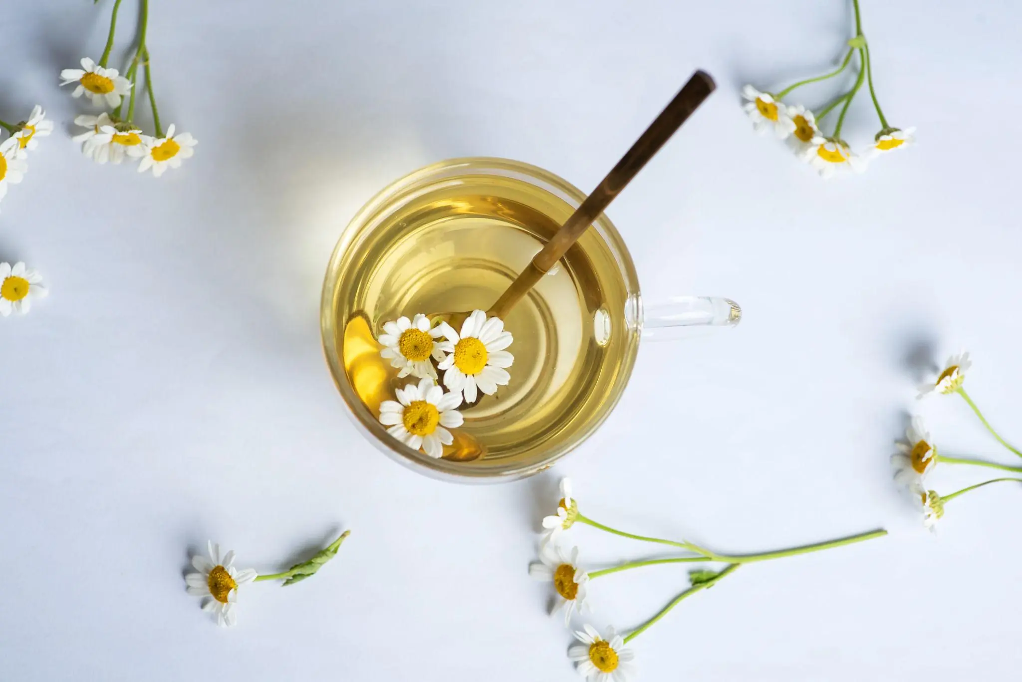 6 Natural Medicinal Herbs That Could Help Improve Overall Well-Being