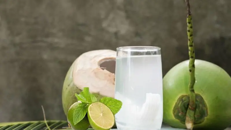 What Really Happens to Your Kid.neys When You Drink Coconut Water?