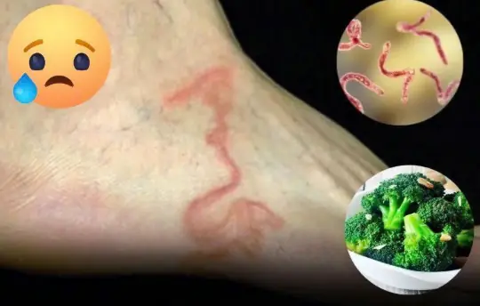4 Vegetables That May Be Safer Cooked Than Raw — Here’s Why