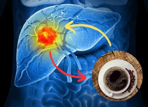 Coffee causes liver can.cer? Scientists say the truth is the exact opposite…