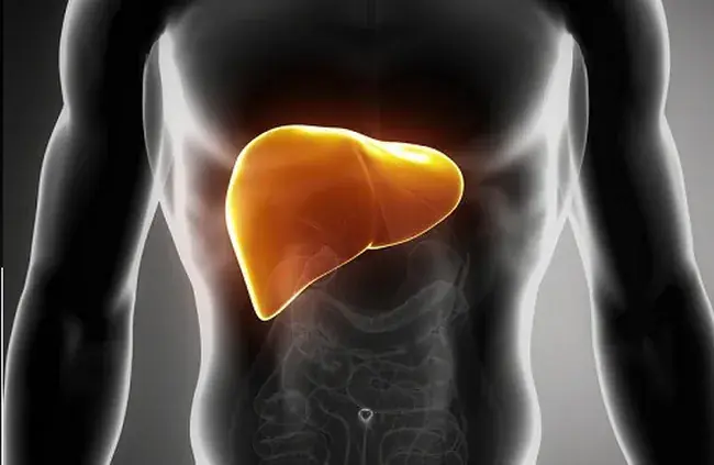 These 10 Symptoms Could Be Your Body’s Way of Signaling Fatty Liver Problems