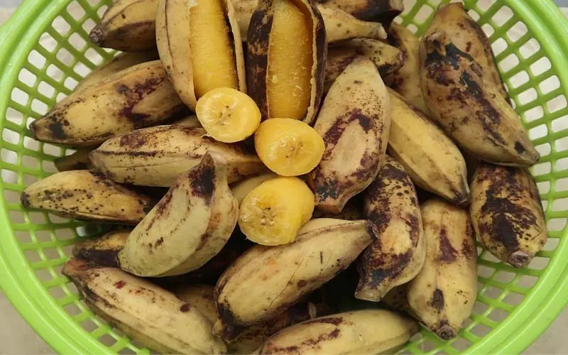 Eating Just One Banana Brings Many Surprising Health Benefits