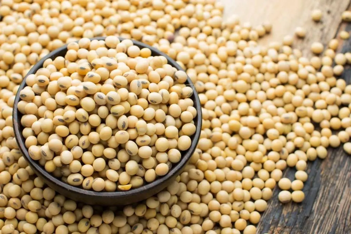 This Protein Helps Build Muscle Even at 90 — Why Nutrition Experts Love It