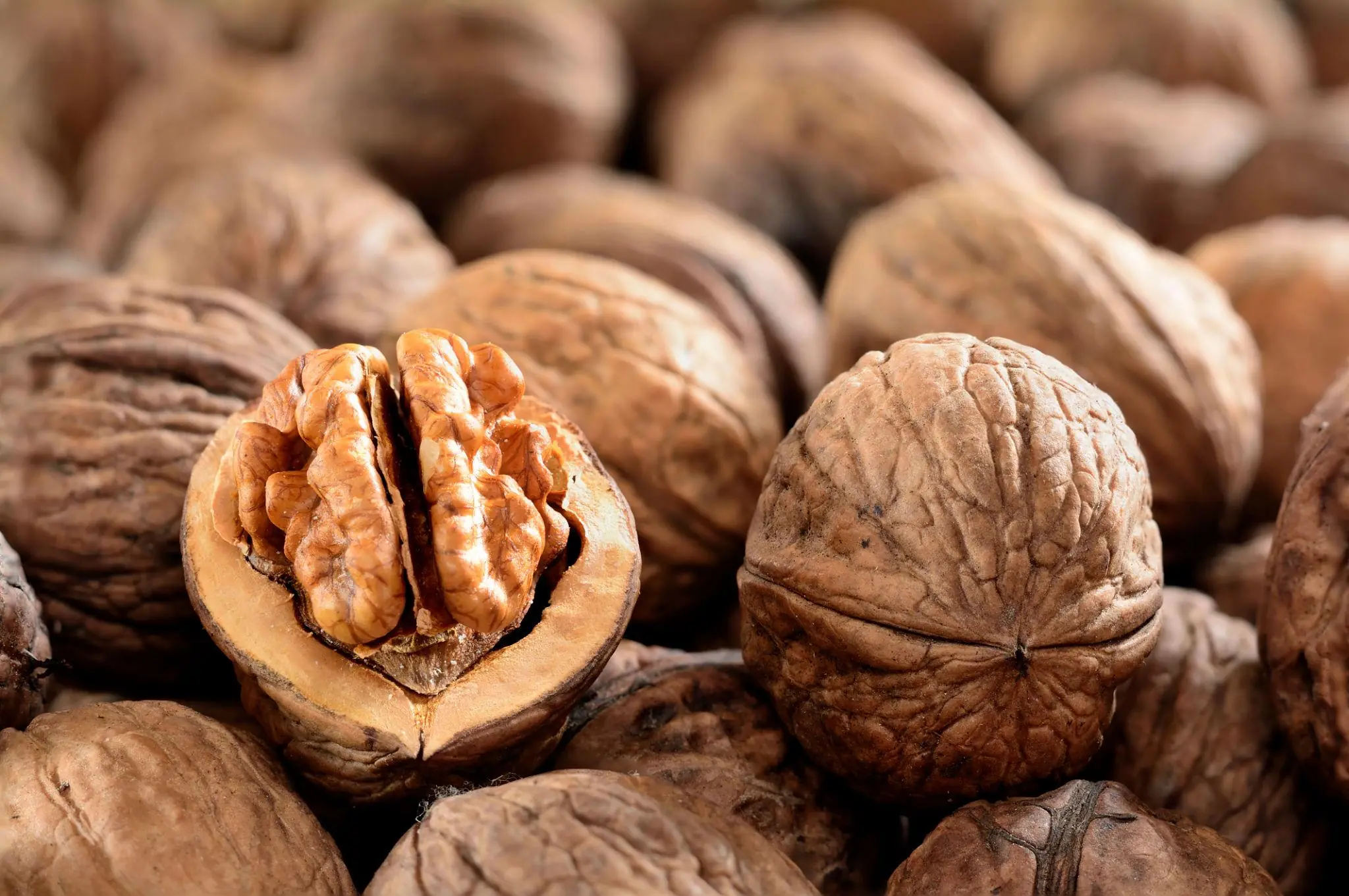 Doctors Reveal What Really Happens When You Eat Walnuts Daily