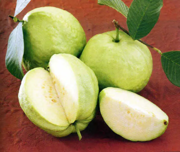 Doctors reveal the possible side effects of overeating guava that most people don’t know
