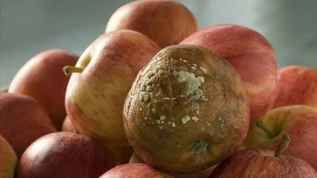 Doctors Warn: These 4 Fruits May Not Be Ideal for People Concerned About Can.cer Risk