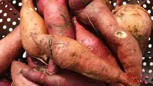 Here Are 7 Amazing Reasons to Eat More Sweet Potatoes