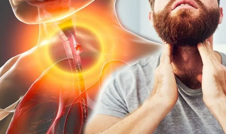 Feeling a Small Lump in Your Throat? Don’t Ignore These Possible Causes