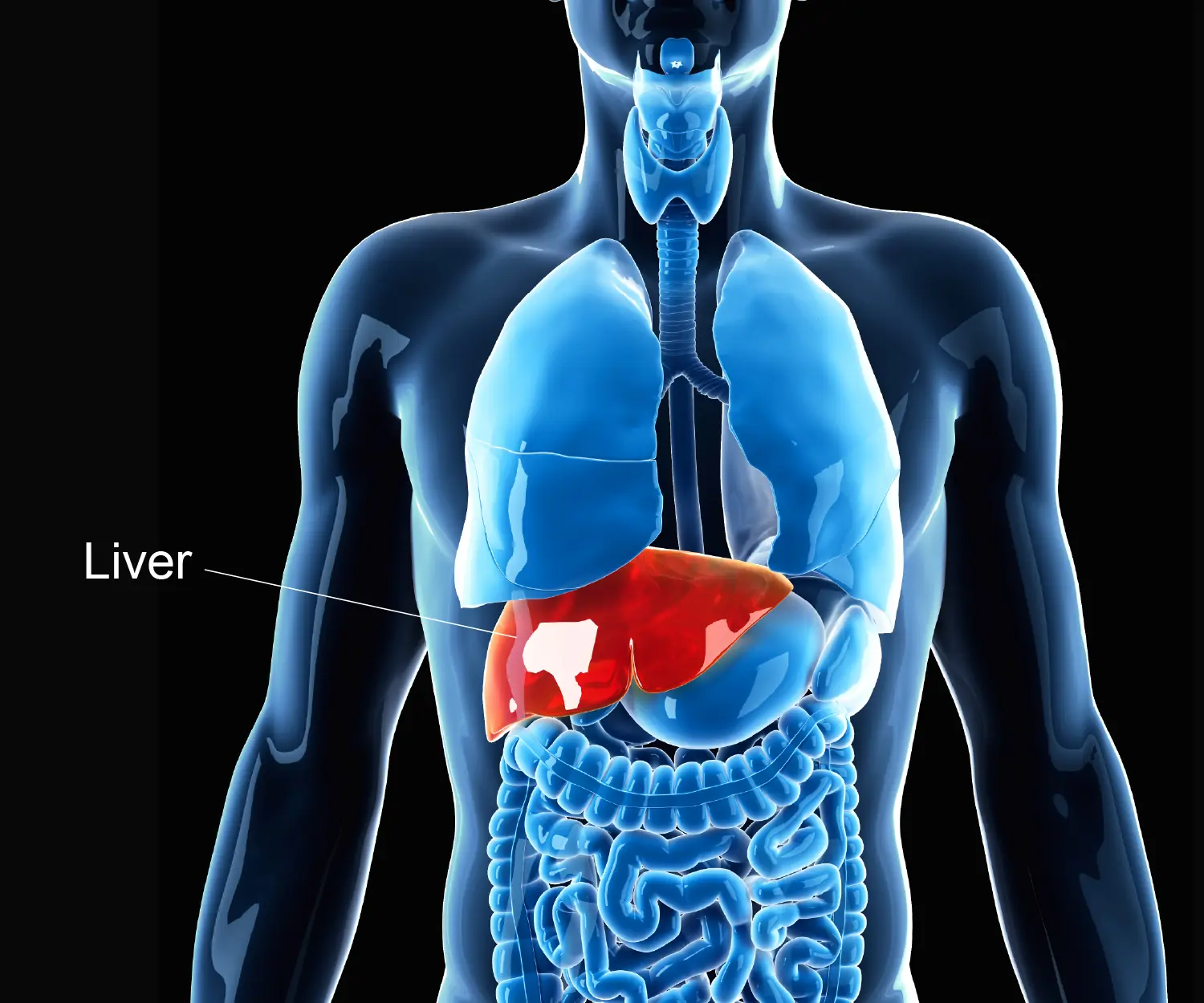 3 Common Breakfast Choices That Doctors Say May Harm Liver Function