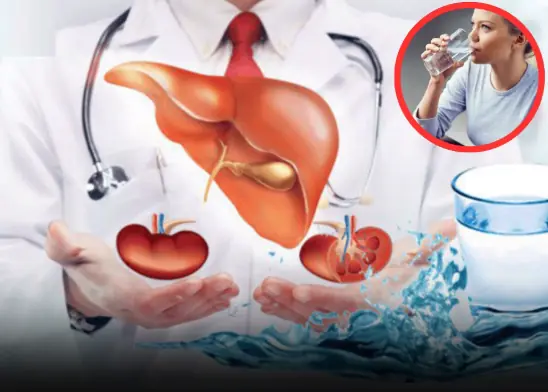 5 Common Water-Drinking Habits That Could Be Putting Stress on Your Liver and Kidneys