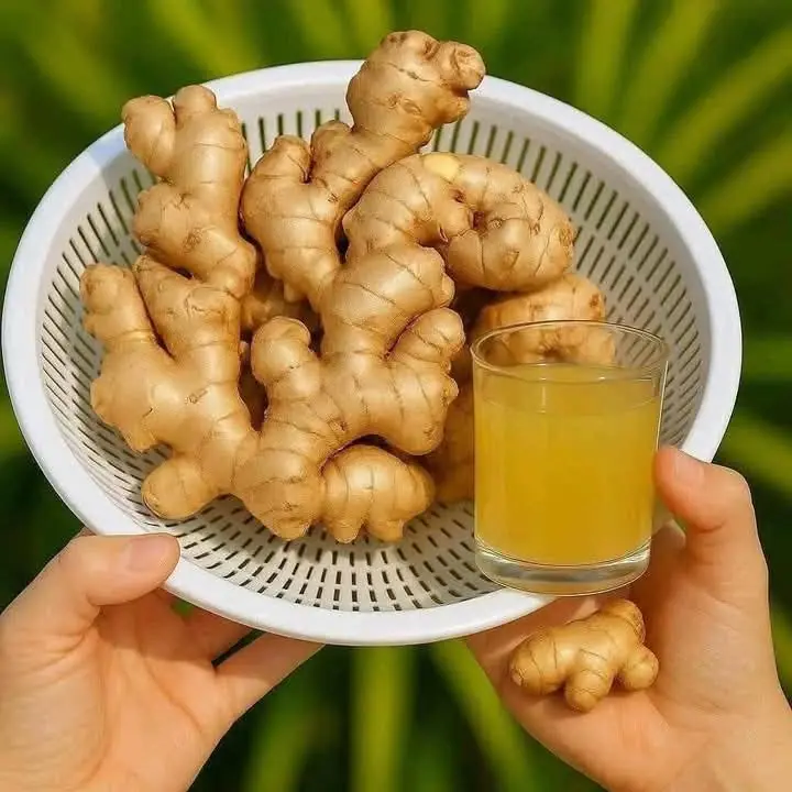 8 Reasons Many People Choose to Drink Ginger Tea Before Bed