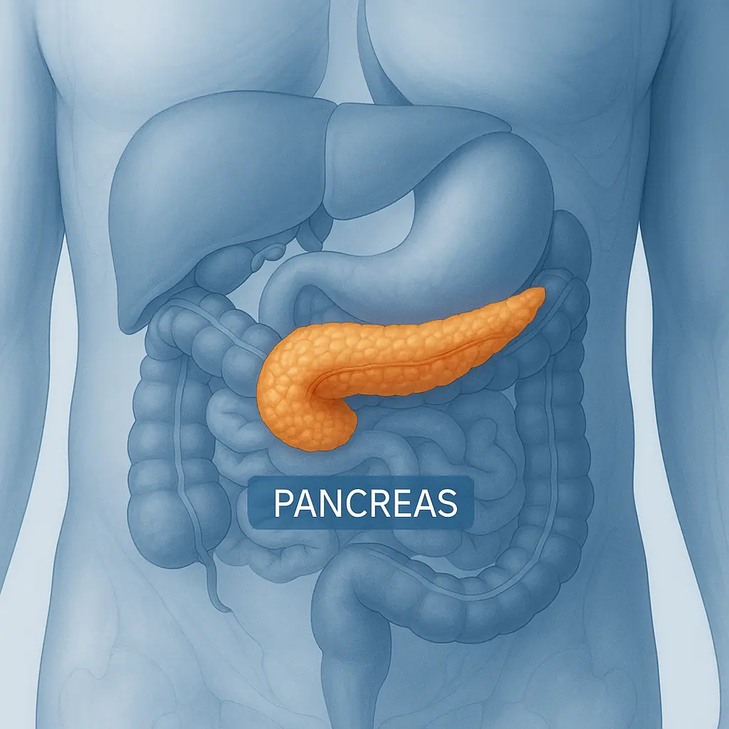 These Symptoms May Be Linked to Pancreatic Cancer — Pay Attention