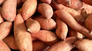 Steamed Sweet Potatoes Every Day: The Liver Results Surprised Experts
