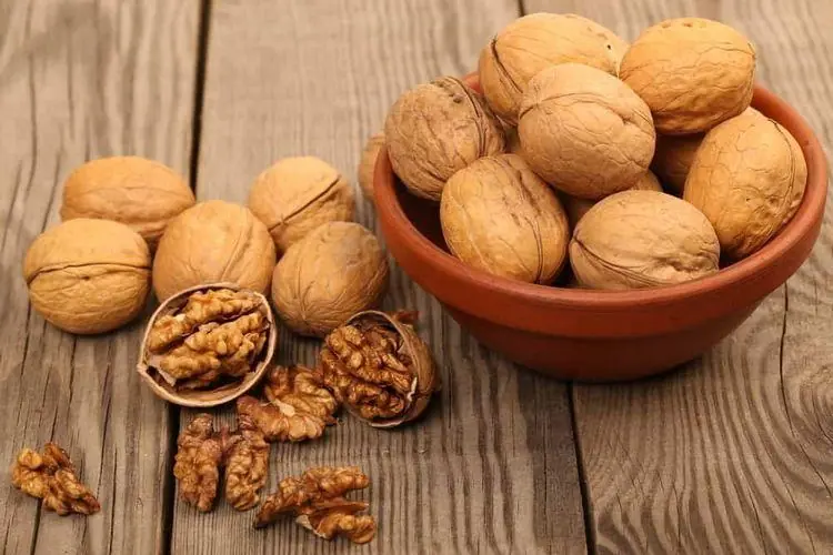 What Really Happens to Your Body When You Eat Walnuts Regularly?