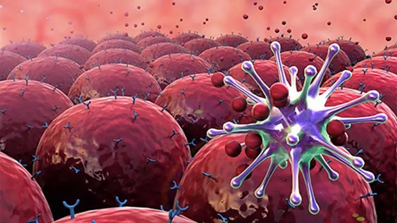 8 Foods That Help Ki.lI Ca.nc.er Ce.lls