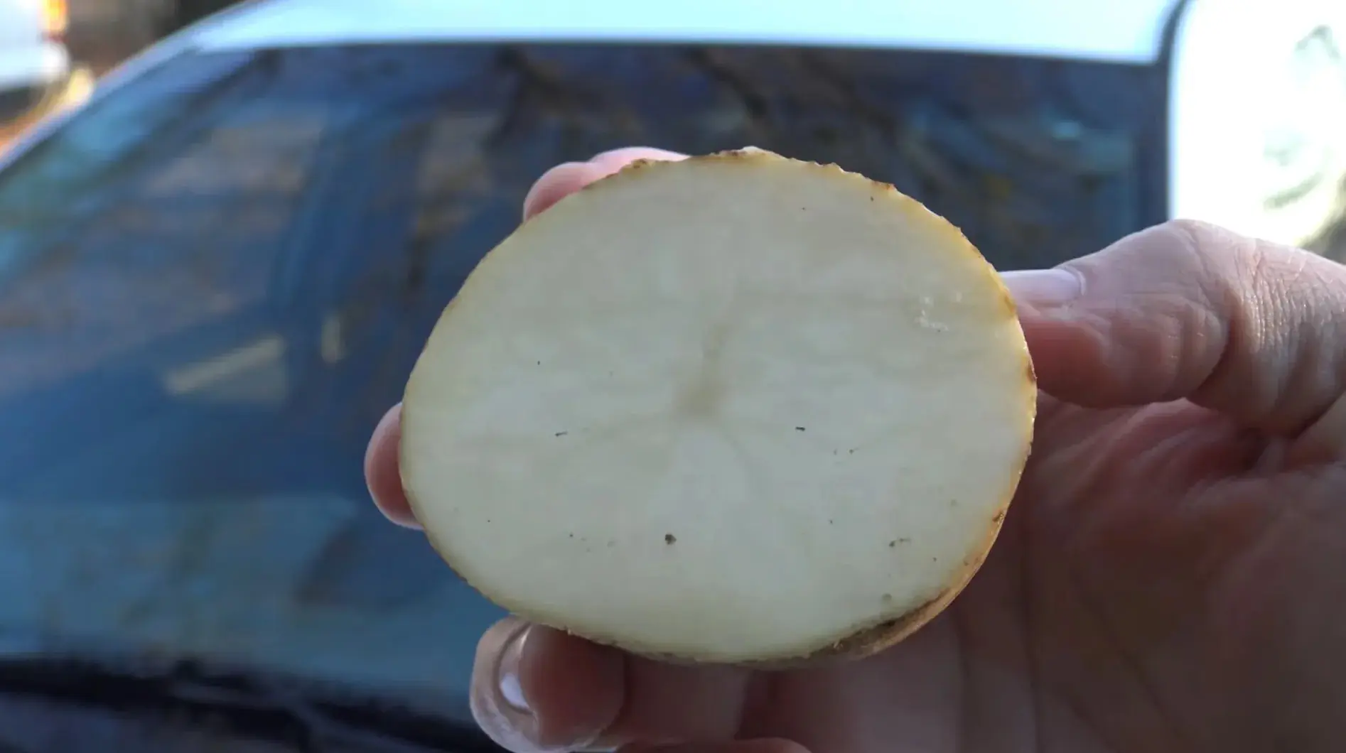Why Do Drivers Need Potatoes?