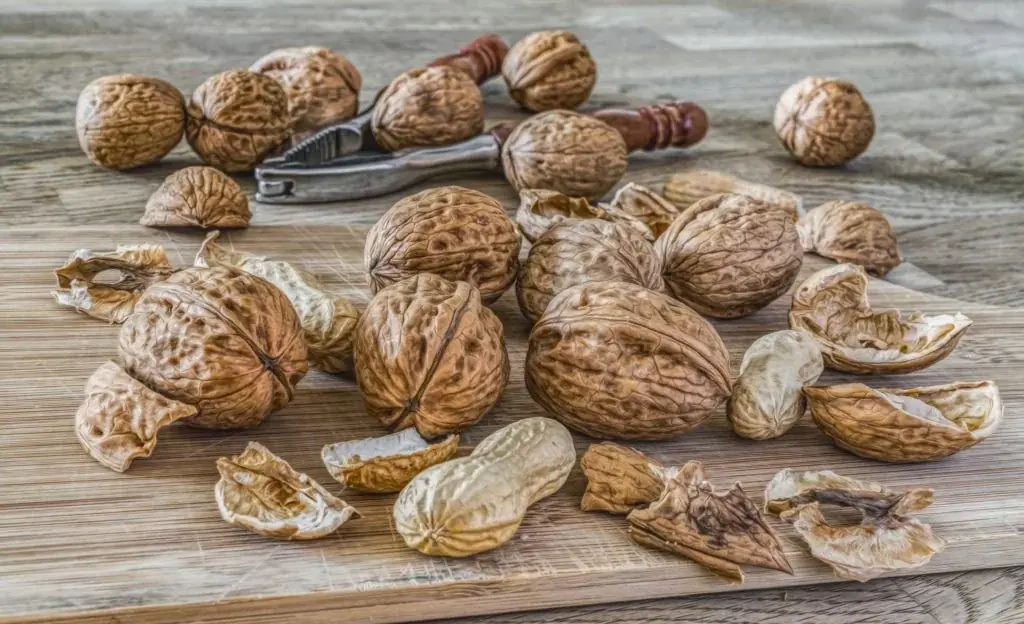 You May Be Surprised by What Walnuts Can Do for Your Health