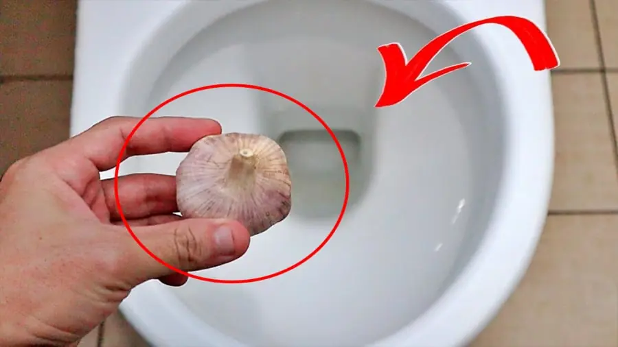Drop a Clove of Garlic Into the Toilet Before Bed - The Reason May Surprise You