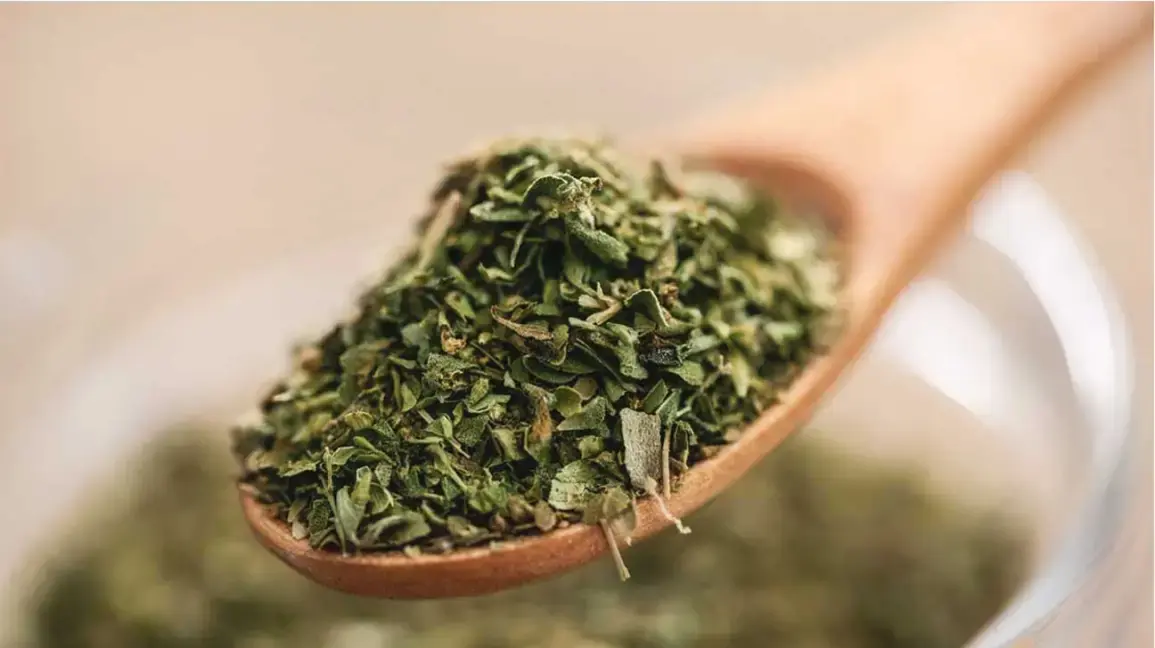 The Powerful Herb That May Help the Body Fight Infections Naturally