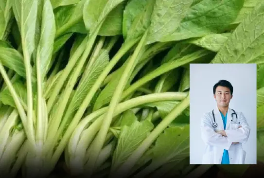 Specialists Say Eating Cruciferous Vegetables Regularly May Help Support Overall Health and Lower Disease Risk