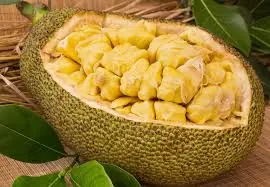 Health Experts Warn That These 5 Types of People May Need to Avoid Jackfruit