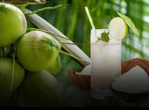 Unexpected Things That May Happen to Your Body When You Drink Coconut Water Regularly