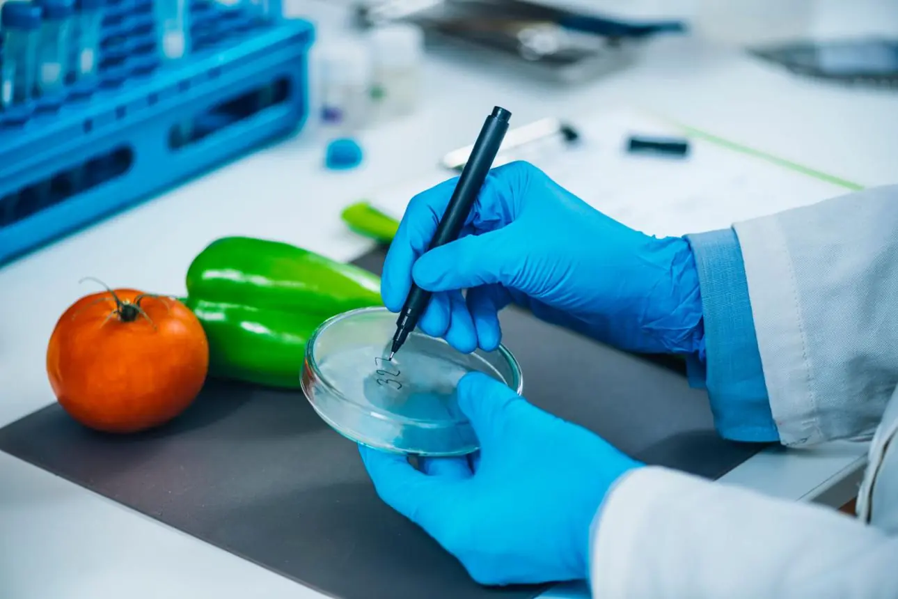 The Most Parasite-Contaminated Vegetable? Experts Warn About Hidden Risks