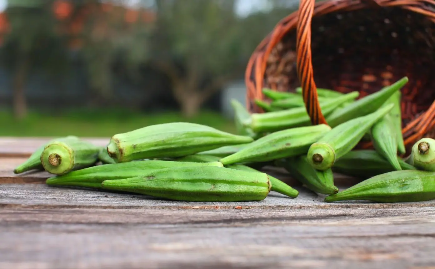 Okra Is Loved for Its Health Benefits, But Doctors Warn These 3 Groups Should Avoid Eating Too Much