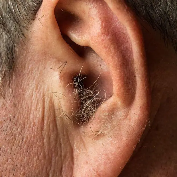 Why Ear Hair Becomes More Noticeable With Age — The Surprising Reason Behind It
