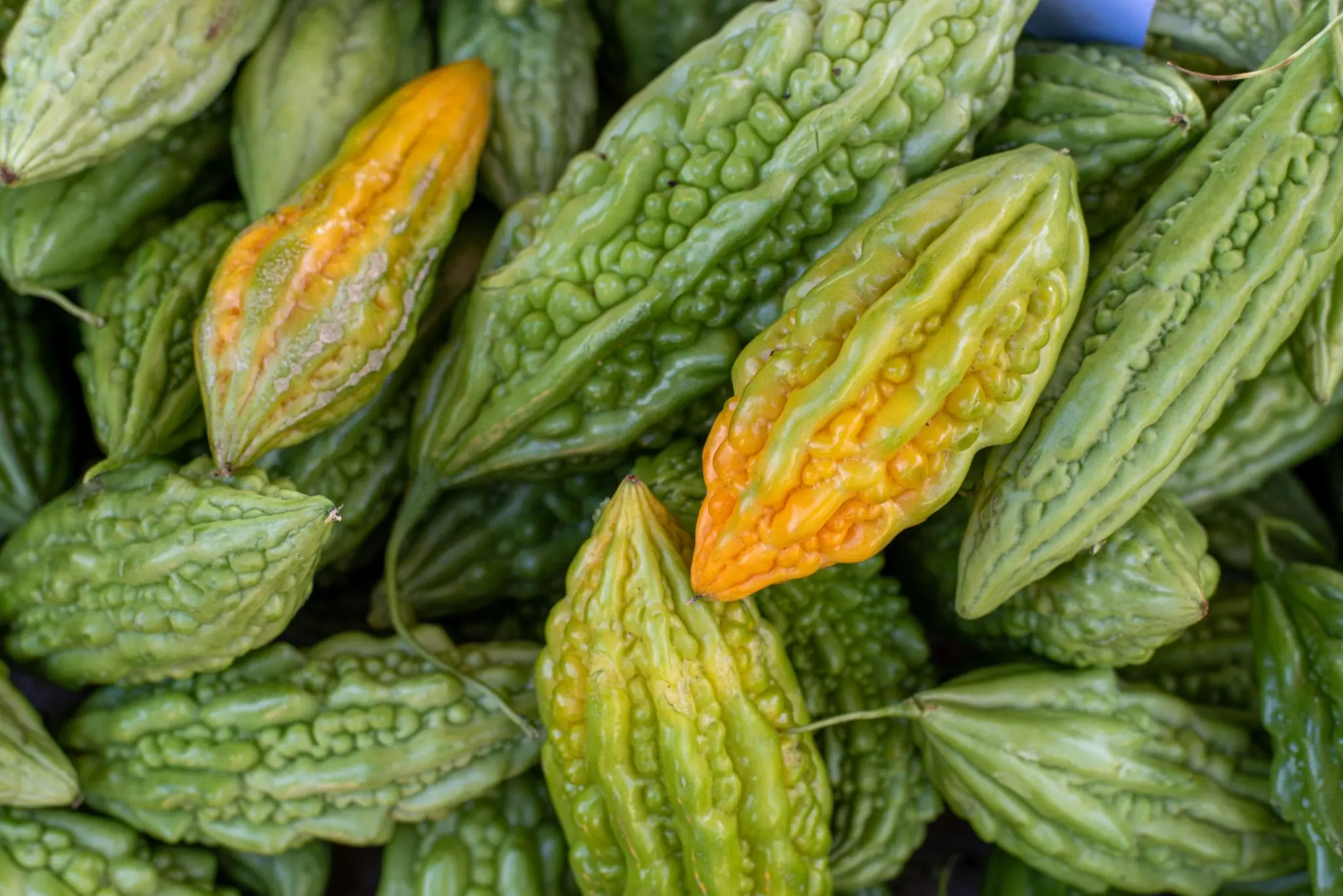 This Powerful Vegetable May Help Regulate Bl00d Sugar Levels as Part of a Healthy Diet