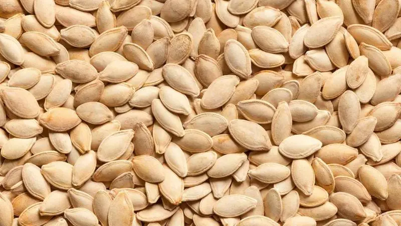Most People Throw Away Pumpkin Seeds Without Knowing Their Incredible Benefits