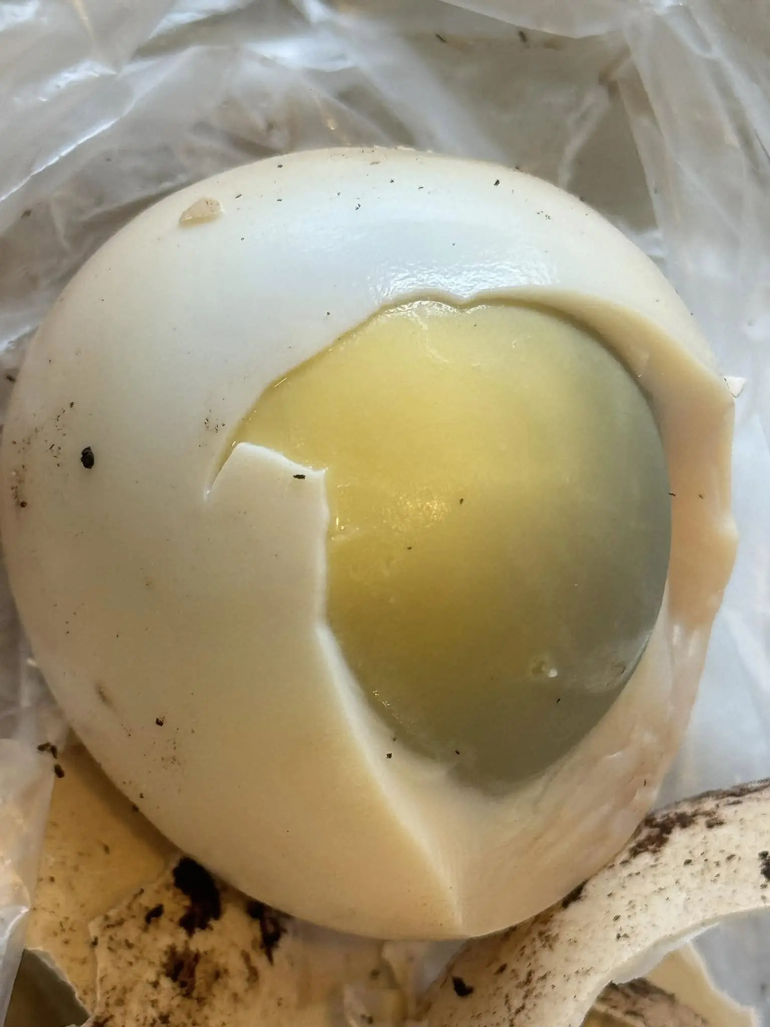 When You See a Green Ring Around an Egg Yolk, Here’s What It Really Means