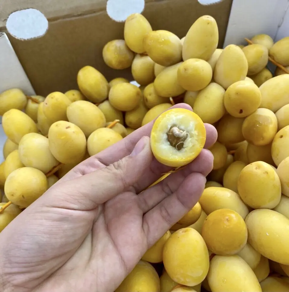 The Strange Fruit That Tastes Sweet One Way but Astringent the Other Is Actually Healthy...