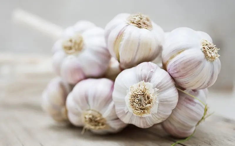 Garlic May Offer Several Health Benefits - Here’s What Experts and Studies Say
