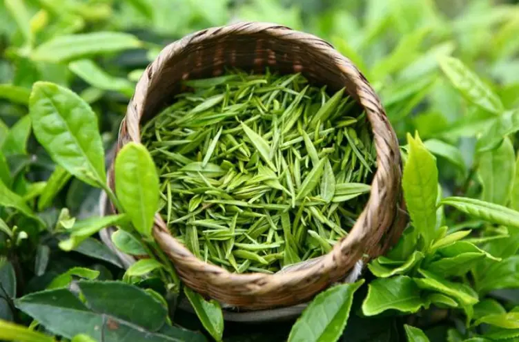 This Daily Drink May Help Support Heart Health and Healthy Blood Flow Naturally