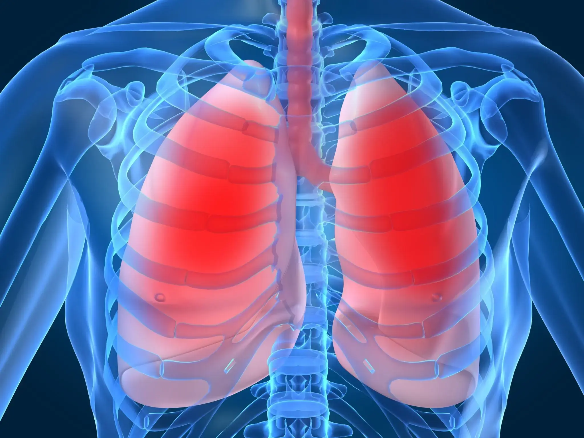 6 Foods Often Called Nature’s “Air Filters” for the Lungs: Eating Them Regularly May Help Your Body Feel Lighter