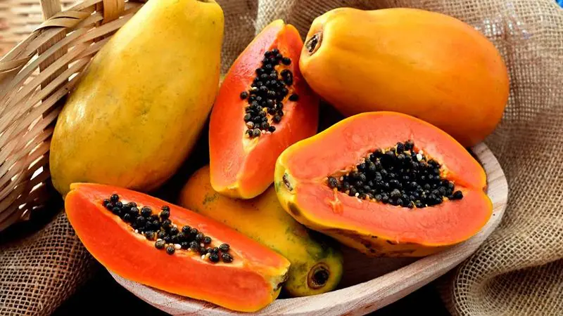 Papaya is a tropical fruit prized for its naturally sweet flavor and its potential digestive health benefits