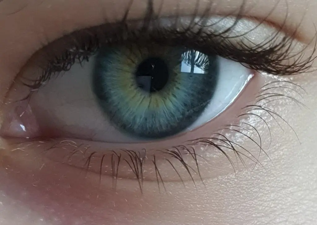 Why Green Eyes Have Long Been Considered One of the Most Unique Eye Colors?