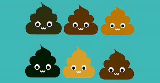 Changes in Stool Color May Be Your Body's Way of Signaling Certain Health Conditions