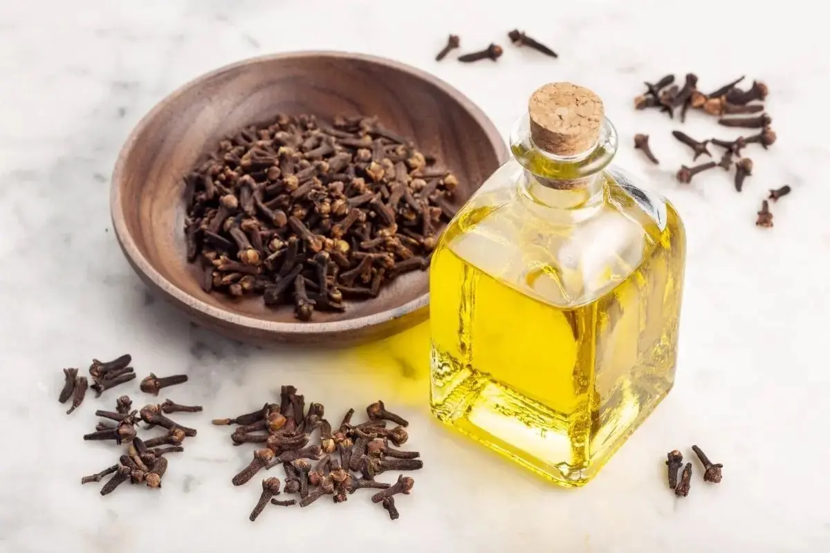 Clove Steam Inhalation: A Traditional Home Remedy That May Help Ease Sinus Discomfort