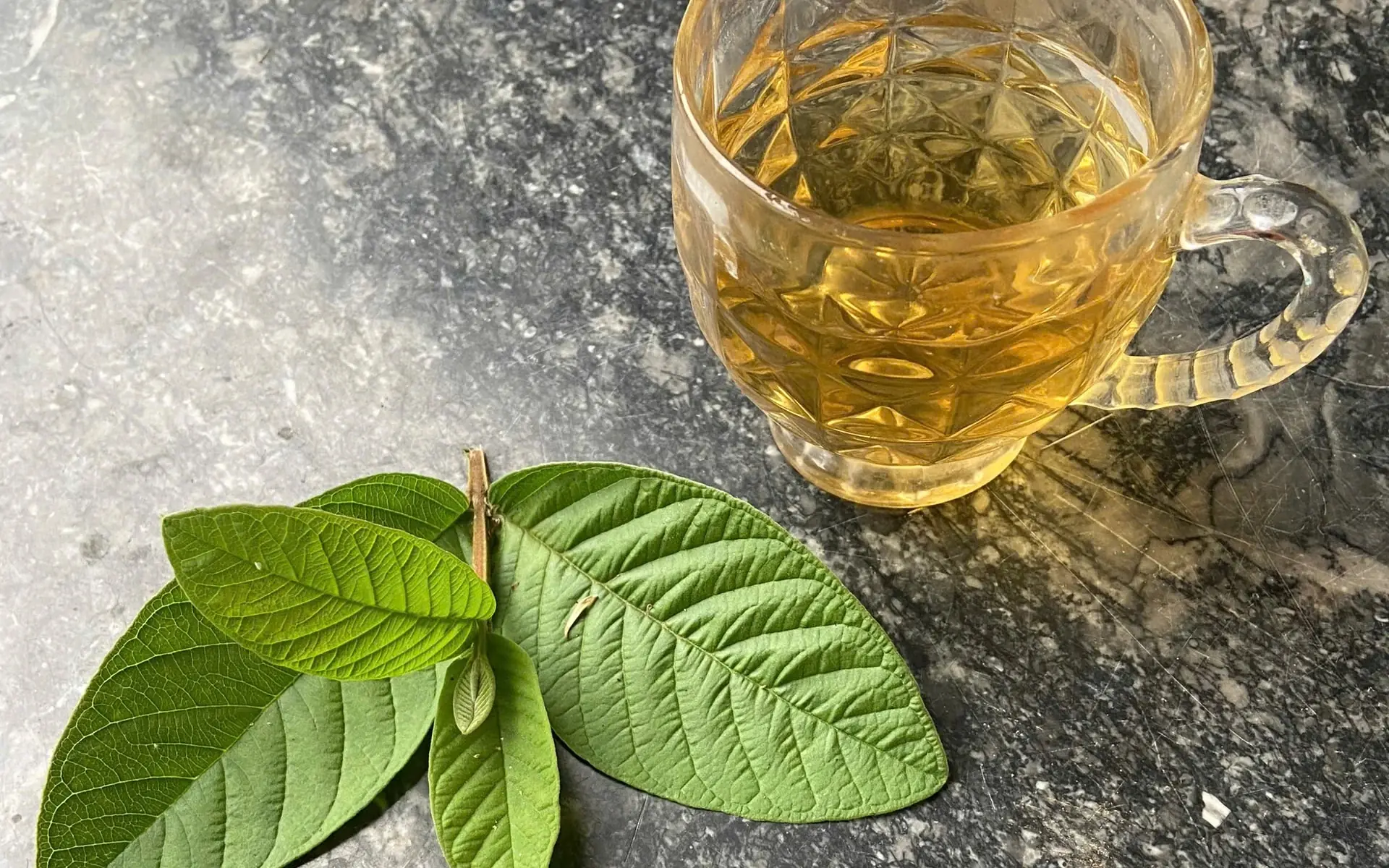 What Happens to Your Body If You Drink Guava Leaf Tea Regularly for Several Weeks?