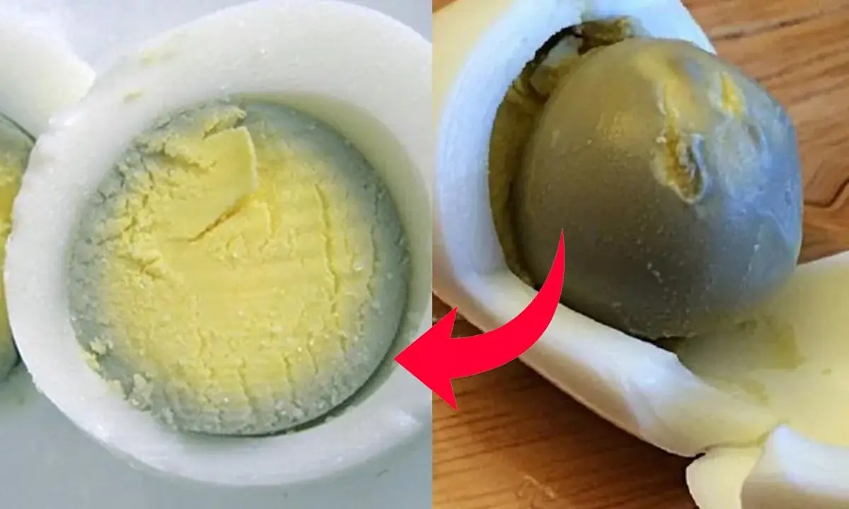If Your Egg Has a Green Ring Around the Yolk, It Means...