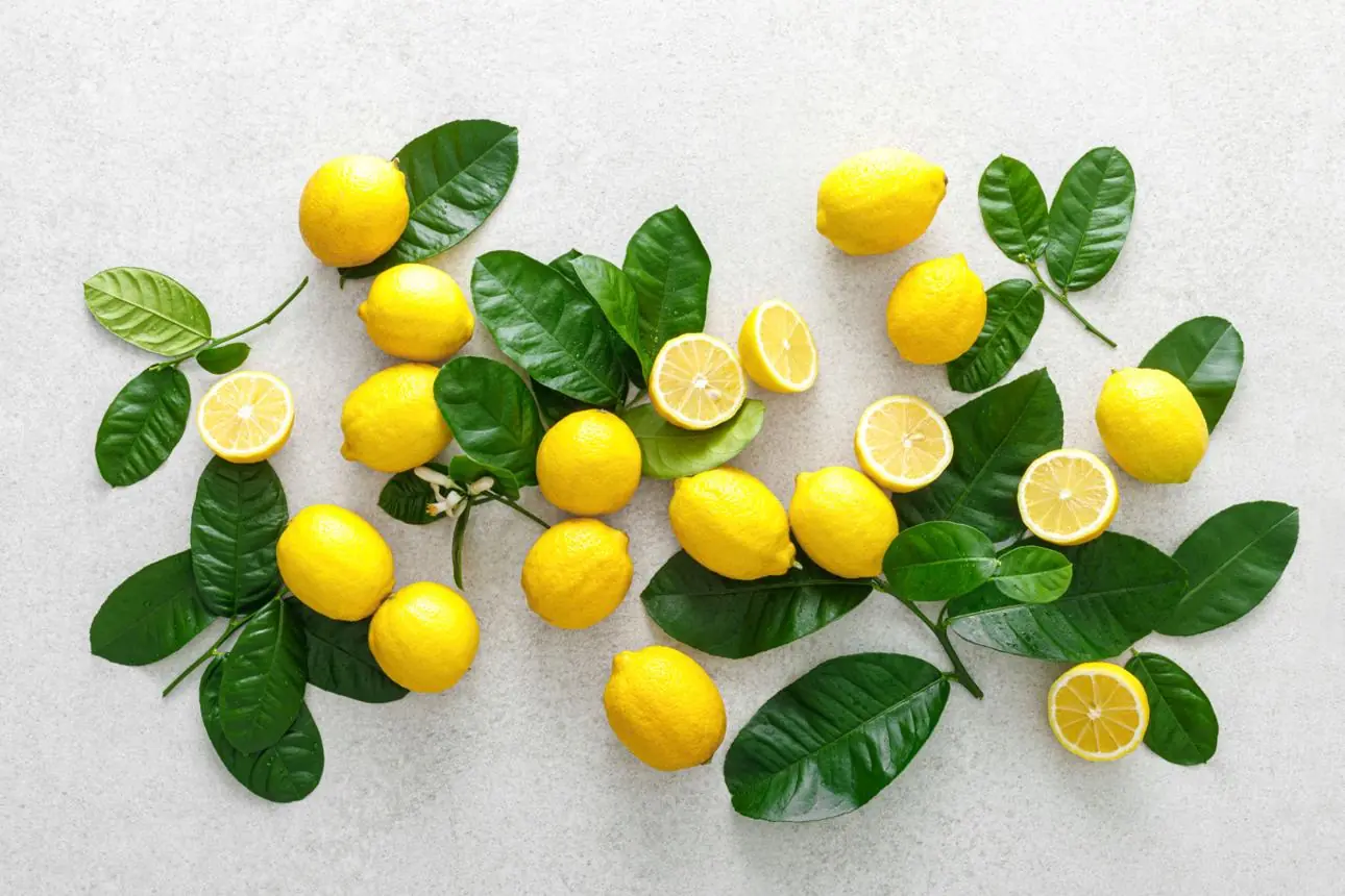 Woman Drank Juice From 6 Lemons Every Morning to “Detox” Her Body — A Month Later, She Learned an Important Health Lesson