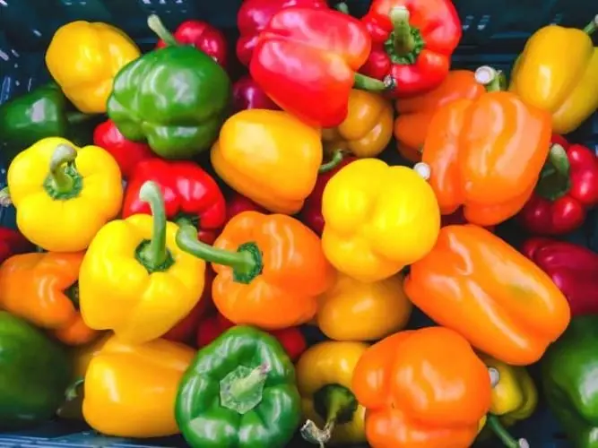 Bell Peppers: Each Color Offers Different Health Benefits, But Most People Don’t Know That!